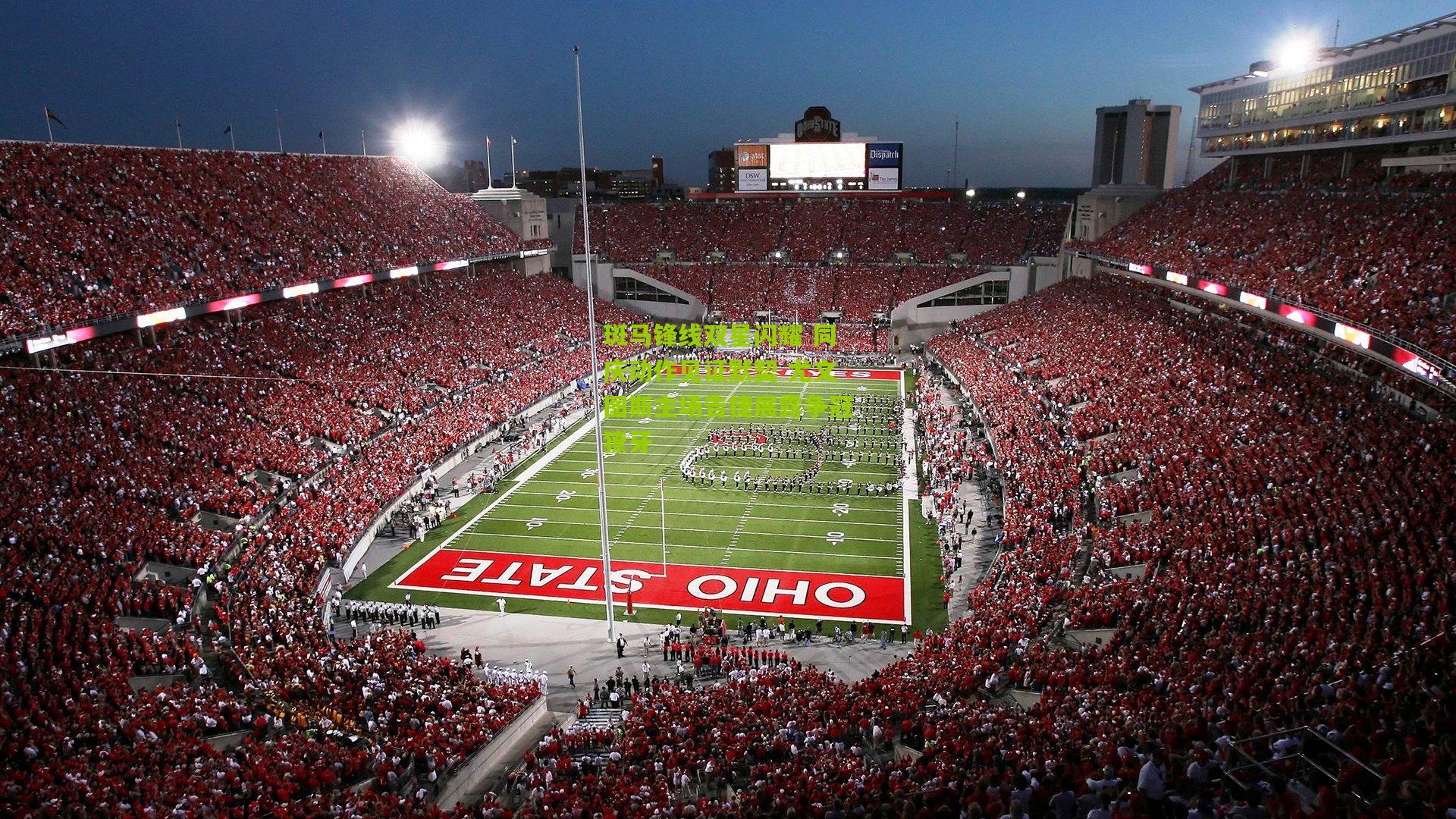 斑马锋线双星闪耀 同庆动作见证默契 尤文图斯主场告捷展露争冠獠牙