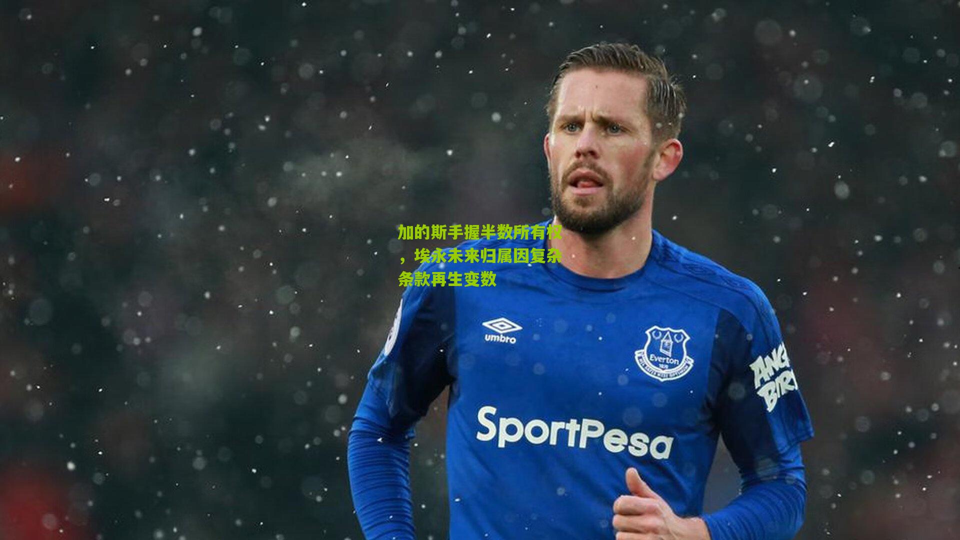 加的斯手握半数所有权，埃永未来归属因复杂条款再生变数